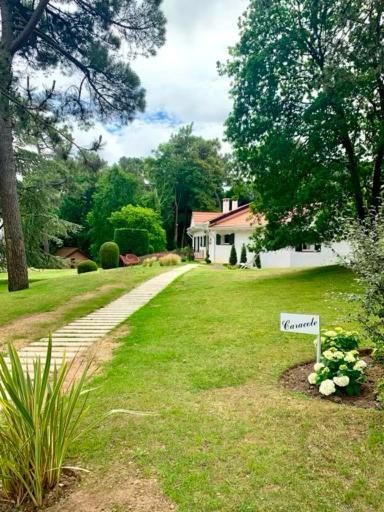 Bons Baisers Du Touquet - Villa Caracole Le Touquet Exteriör bild